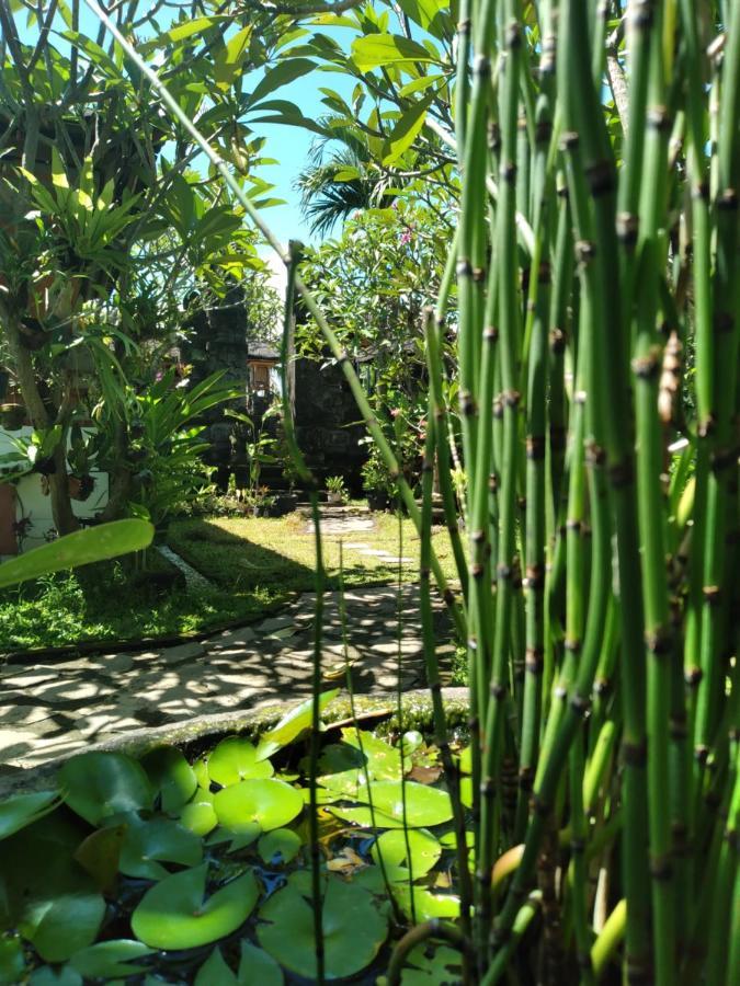 Serongga Guest House Lebih Exterior photo