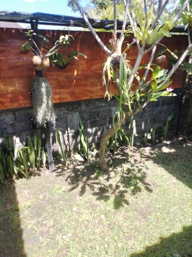 Serongga Guest House Lebih Exterior photo